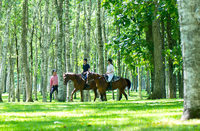 【現在８名】ホーストレッキングしよう♪