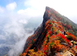 絶景紅葉　石鎚山
