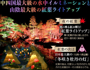 紅葉撮影第2弾:由志園紅葉ライトアップ