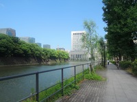 皇居ランニング