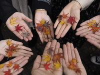 カメラ持ってお出かけ企画ー紅葉編🍁