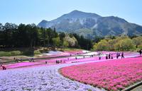 12/30-1/1  キャンプ納めとキャンプ初め（連泊ですが片方でも〇）