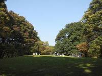 【4月25日】初心者向け鬼ごっこ＆ピクニック！