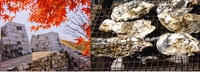 赤穂城紅葉と牡蠣
