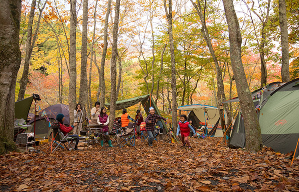 11月21日（土）、～秋を楽しむオータムBBQ！～