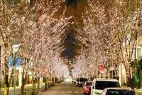 東京駅周辺　イルミネーション撮影会