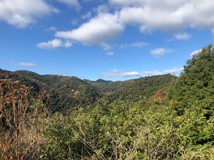 12月20日（日）一庫公園＆知明湖　森と湖の景観を堪能しよう！【現在28名参加予定！！】