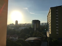 週末にビブリオバトル！！　※本の紹介をし合って、どの本が読みたいか投票する企画です