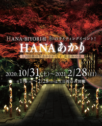 【中止‼︎】Best Shot in HANAあかり（イルミネーション）