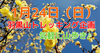 【1月24日（日）】新年企画！2021年1月！羽黒山トレッキング（初心者向け）【現在2名参加予定】