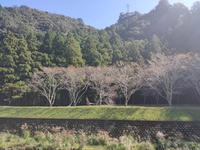 マイアミ浜オートキャンプ場でキャンプ！