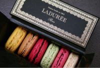 【満席御礼_第13回銀座ランチ】ラデュレでランチ＆スイーツ(マカロン発祥のお店へ行ってみよう！)