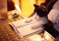 オンライン読書会