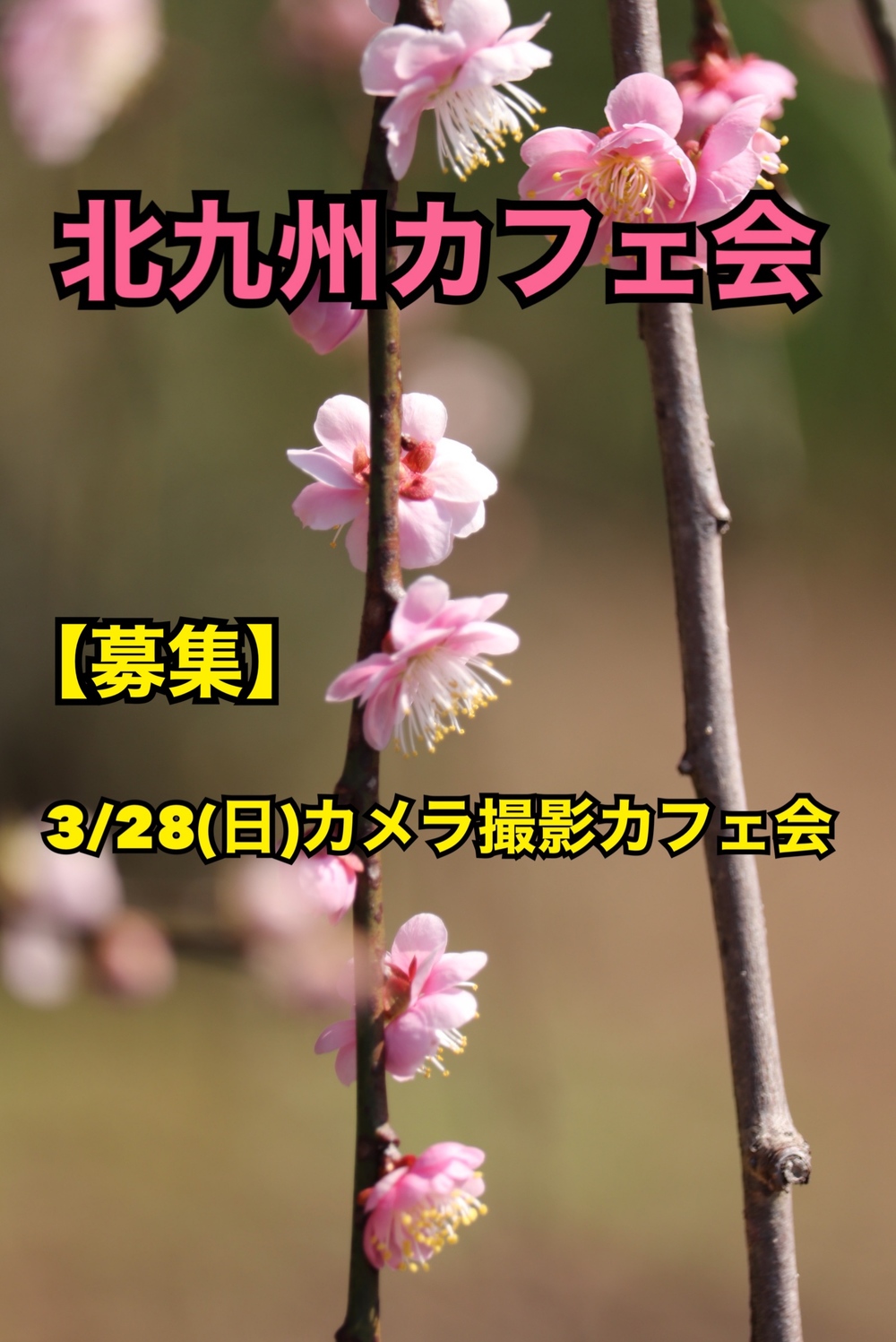 【募集】3/28(日)カメラ撮影カフェ会〜到津の森公園