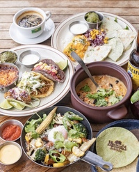 メキシコ料理を食べに行こう🇲🇽 in Hacienda del cielo MODERN MEXICANO