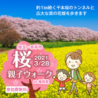 3/28 埼玉 幸手市「権現堂 桜 親子ウォーク」