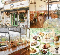 ★世界ごはん★ イスラエルの国民食「ファラフェル」ランチ🇮🇳🍛