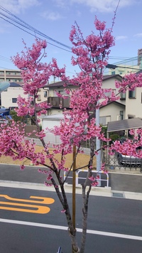 ☆コンビニご飯&スイーツ食べ比べ会☆In.渋谷