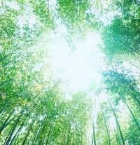 ☀️早起き会☀️～自分を好きになるきっかけづくり～ 第4回