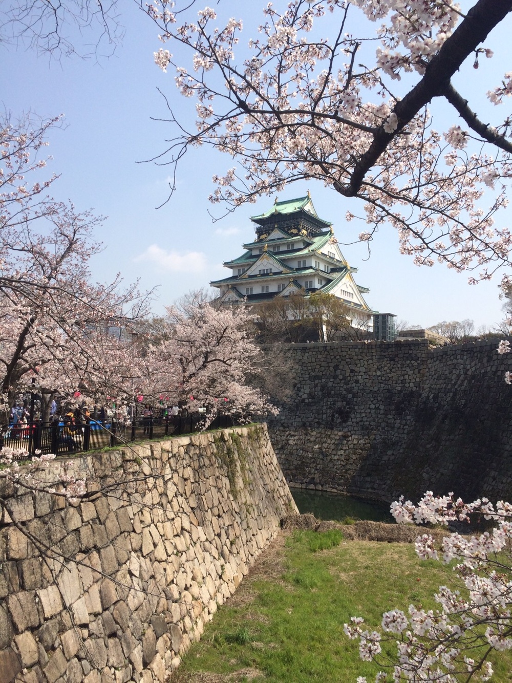 まん延防止要請により中止　キャンセル待ちのみ　お花見　大阪城公園