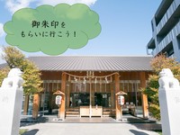 【御朱印集めに出かけよう！】神楽坂周辺を食べ歩きをして会話を楽しみながら神社を巡ろう！