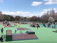 スケボーやろう🛹