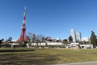 芝公園でお花見交流会♬～初めて参加歓迎～
