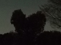 埼玉県川口市川口駅周辺、お写んぽ撮影会