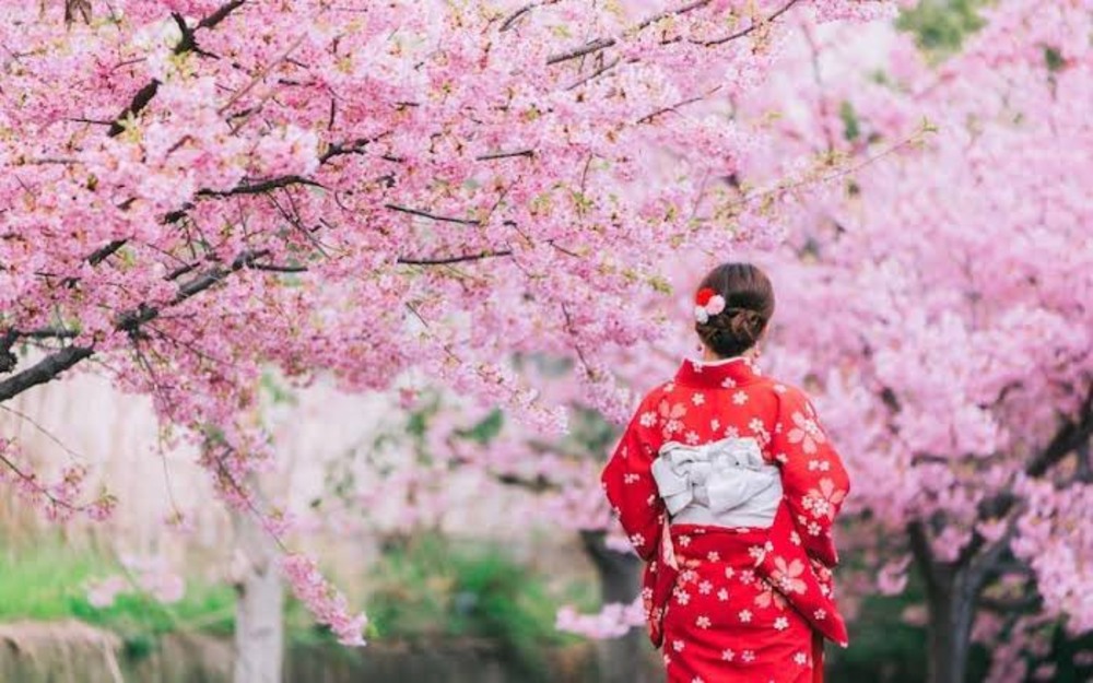 20代限定！
代々木公園でお花見しましょう🌸！！