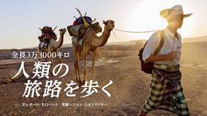 【オンライン】世界100万人が参加❗️ ナショジオ社「遺伝子の旅プロジェクト」調査結果からわかる、人類史の発見と私のルーツ