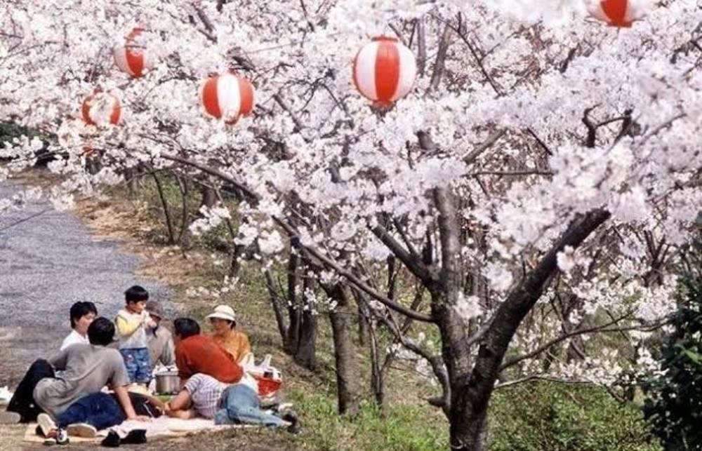 3.27 大阪城公園花見
14-17時の間でやります。
基本的に自分の飲食する分おもち頂ければ大丈夫です。

簡単なシートくらいは持っていきます
あとアコギ