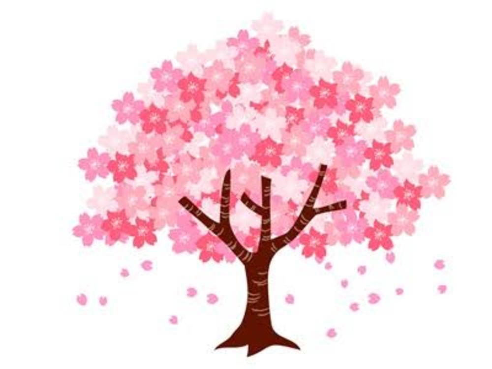 [中止][特別回]お花見オムライス会～桜見ながらオムライス作り体験