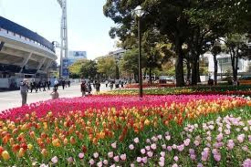 横浜公園チューリップ〜大桟橋、山下公園の花達
