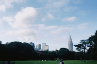 【都内で大自然！？】代々木公園を散策しましょう！