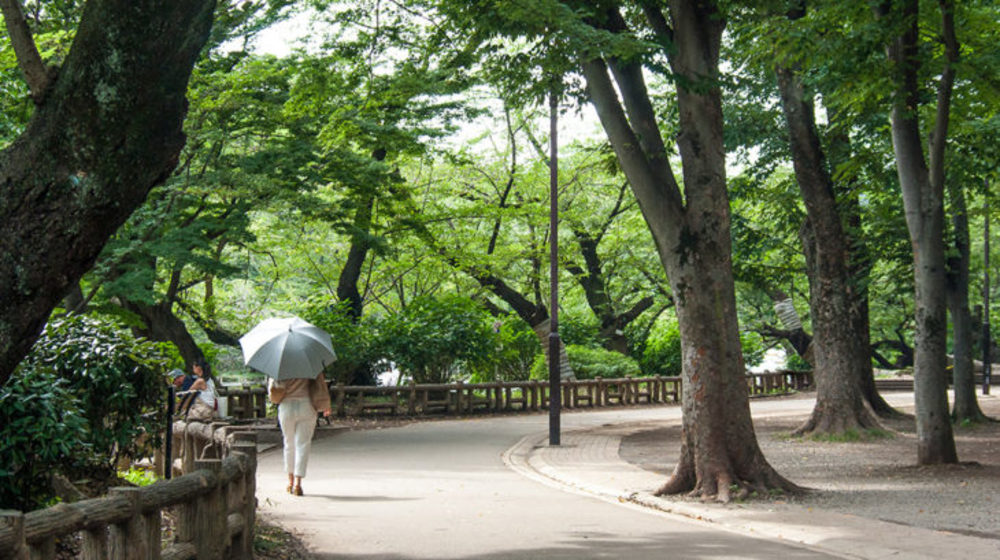 住みたい街ランキング上位にもなった吉祥寺の井之頭公園で森林浴をしながら会話を楽しもう！