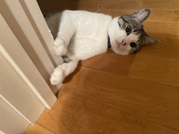 動物cafe会メンバー大集合‼️