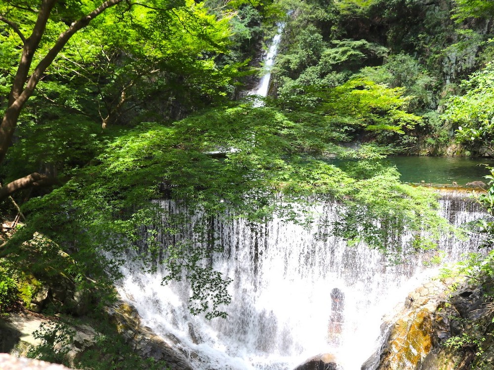 【8月29日(日)】布引の滝＆植物園ハイキング