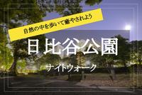 【日比谷公園を夜散歩】あたたかい街灯と緑で癒やされる、日比谷公園を歩こう！