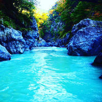 「夏の思い出を作りに鳩ノ巣渓谷へ行こう！」