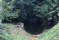 「夏の思い出作りに肝試しをしよう！」