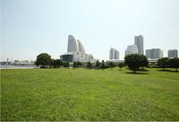 ☆【8月21日(土)開催！臨港パークで遊んで見て楽しむ会】