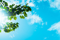 【女性限定】☀️外でモーニング☀️