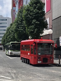 【20代前半限定】池袋お散歩会