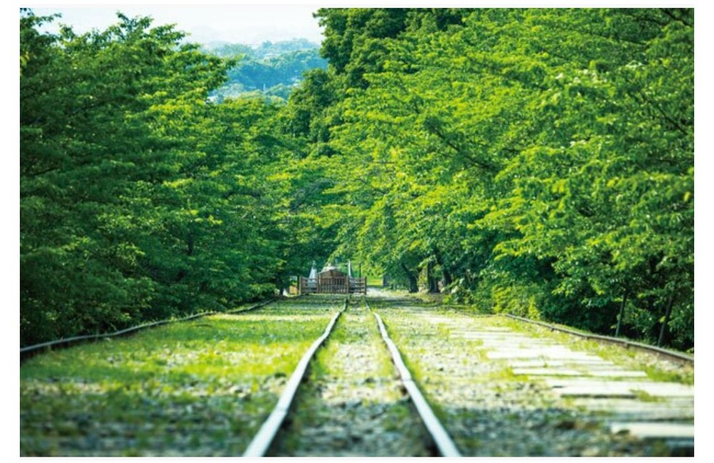 深緑に囲まれた京の伝統建築・遺産巡り～蹴上インクライン～