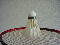 8月15日(日)のバドミントン練習