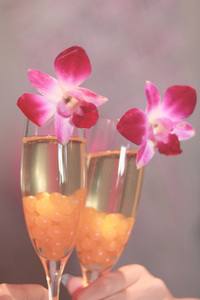 【銀座開催】20-30代限定・平日ノンアル会♪