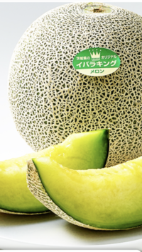 10/16（土）メロン狩り&BBQ &パワースポット巡りin茨城県