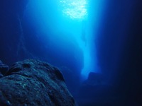 8月29日(日) 城ヶ島or真鶴