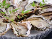 食べるぞ！世界の地元メシ × 牡蠣料理 新宿