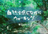 【お散歩×自然観察】等々力渓谷 ※参加無料　自然好き、お散歩好き集まれ！
